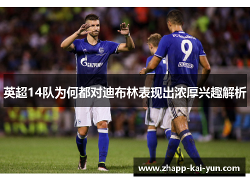 英超14队为何都对迪布林表现出浓厚兴趣解析