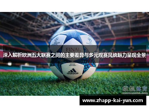 深入解析欧洲五大联赛之间的主要差异与多元观赛风貌魅力呈现全景