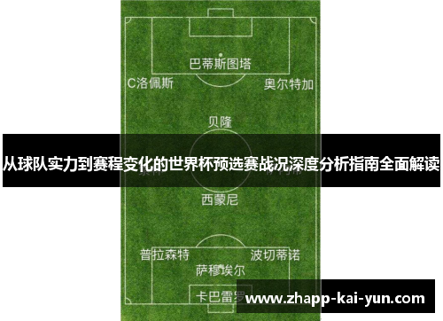 从球队实力到赛程变化的世界杯预选赛战况深度分析指南全面解读