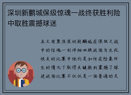 深圳新鹏城保级惊魂一战终获胜利险中取胜震撼球迷 深圳新鹏城保级惊魂一战终获胜利险中取胜震撼球迷